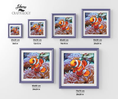New! Clown Fish - Premium Diamond Painting Kit