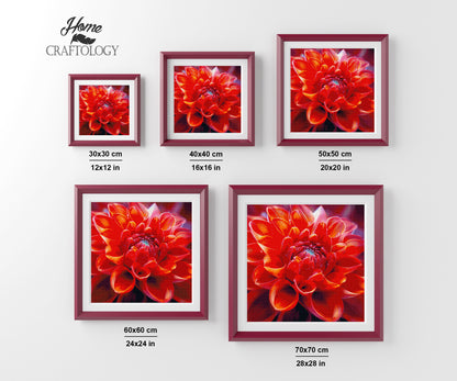 Crimson Dahlia Radiance - Time Limited Exclusive Diamond Painting Kit