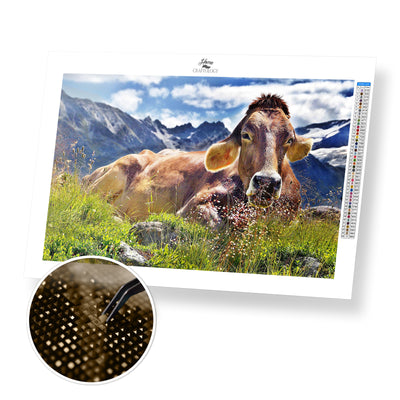Resting Cow - Premium Diamond Painting Kit