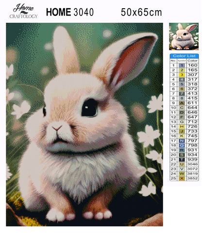 White and Brown Rabbit - Premium Diamond Painting Kit