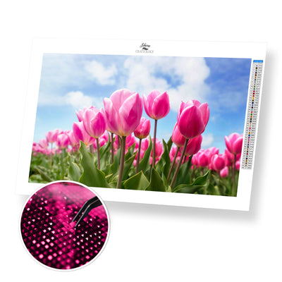 Field of Pink Tulips - Premium Diamond Painting Kit