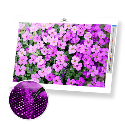 Field of Purple Flowers - Premium Diamond Painting Kit