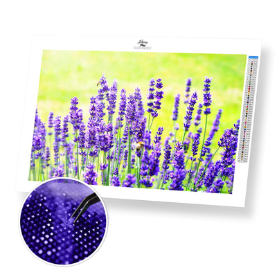 Lavenders - Premium Diamond Painting Kit