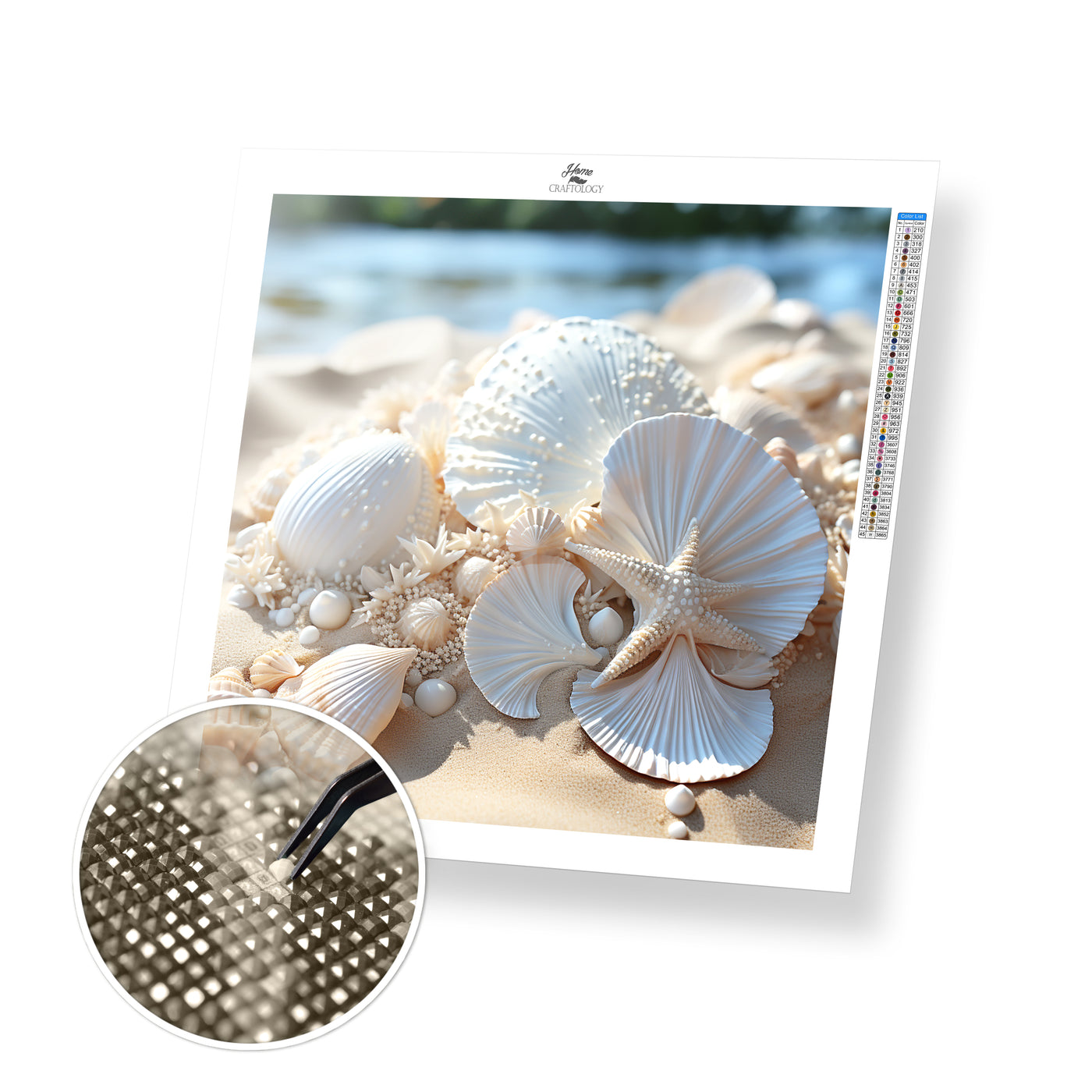 Seashells - Premium Diamond Painting Kit