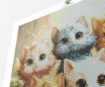 Cartoon Cats - Exclusive Premium Diamond Painting Kit