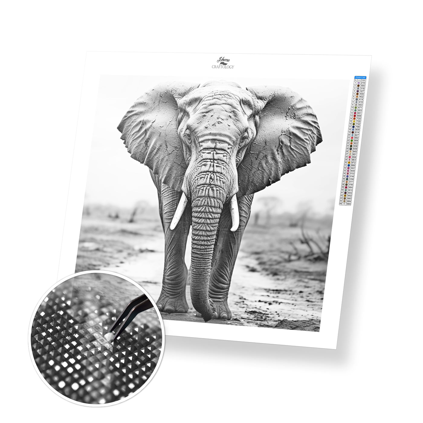 New! Black and White Elephant - Premium Diamond Painting Kit