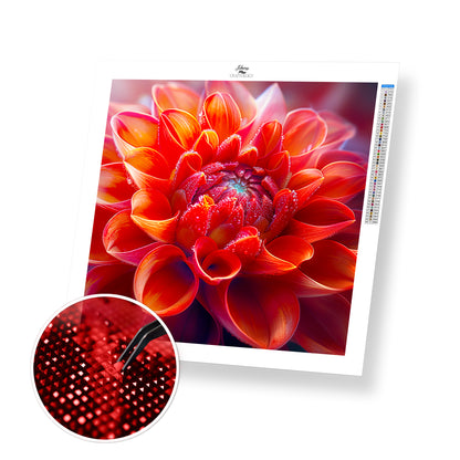 Crimson Dahlia Radiance - Time Limited Exclusive Diamond Painting Kit