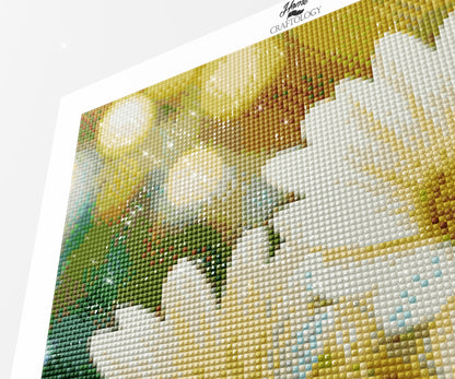 Daisy Sun Touch - Time Limited Exclusive Diamond Painting Kit