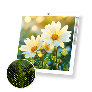Daisy Sun Touch - Time Limited Exclusive Diamond Painting Kit