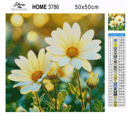 Daisy Sun Touch - Time Limited Exclusive Diamond Painting Kit