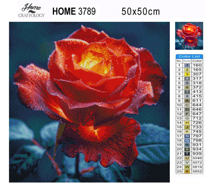 Golden Rose Glow - Time Limited Exclusive Diamond Painting Kit