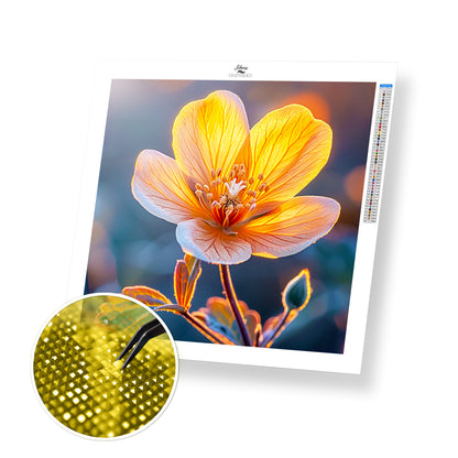 Light Through Petals - Time Limited Exclusive Diamond Painting Kit