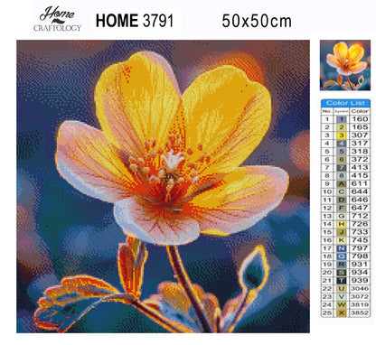 Light Through Petals - Time Limited Exclusive Diamond Painting Kit