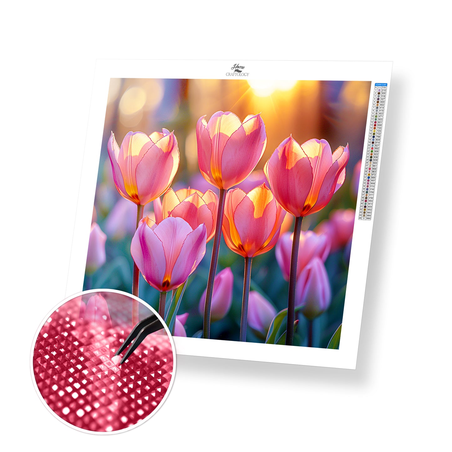 Sunlit Tulips - Time Limited Exclusive Diamond Painting Kit