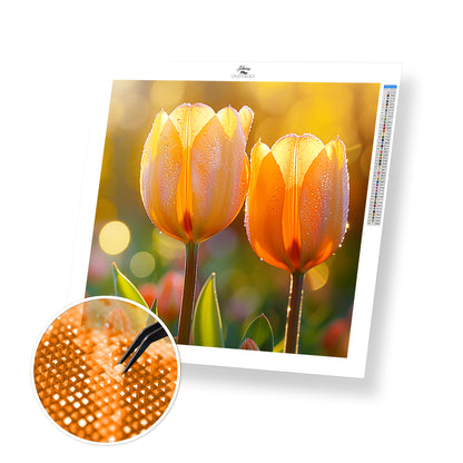 Tulips in Warm Light - Time Limited Exclusive Diamond Painting Kit