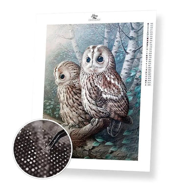 AB Owl on a Tree - Premium Diamond Painting Kit