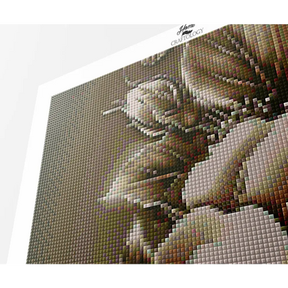 AB Sepia Roses - Premium Diamond Painting Kit - Diamond Painting Kit