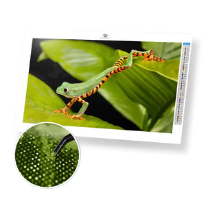Balancing Frog - Premium Diamond Painting Kit - 55x30cm / 22x12’’ / Square (Most Popular) - Diamond Painting Kit