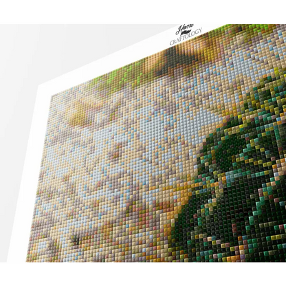 Barrel Cactus - Premium Diamond Painting Kit - Diamond Painting Kit
