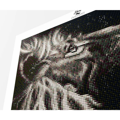 Black and White Lion - Premium Diamond Painting Kit - Diamond Painting Kit