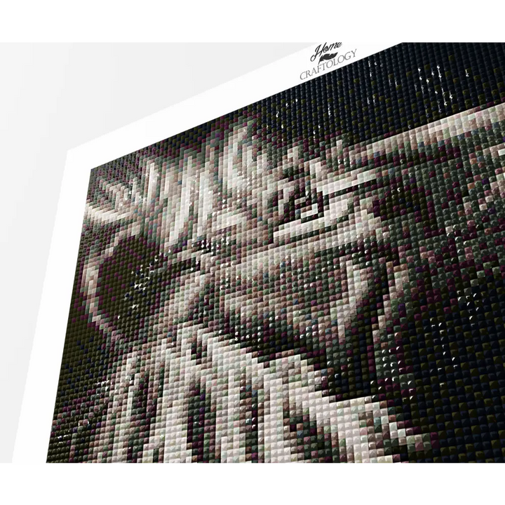 Black and White Lion - Premium Diamond Painting Kit - Diamond Painting Kit