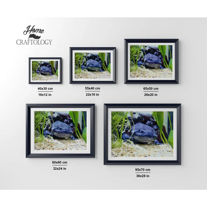 Black Axolotl - Premium Diamond Painting Kit - Diamond Painting Kit