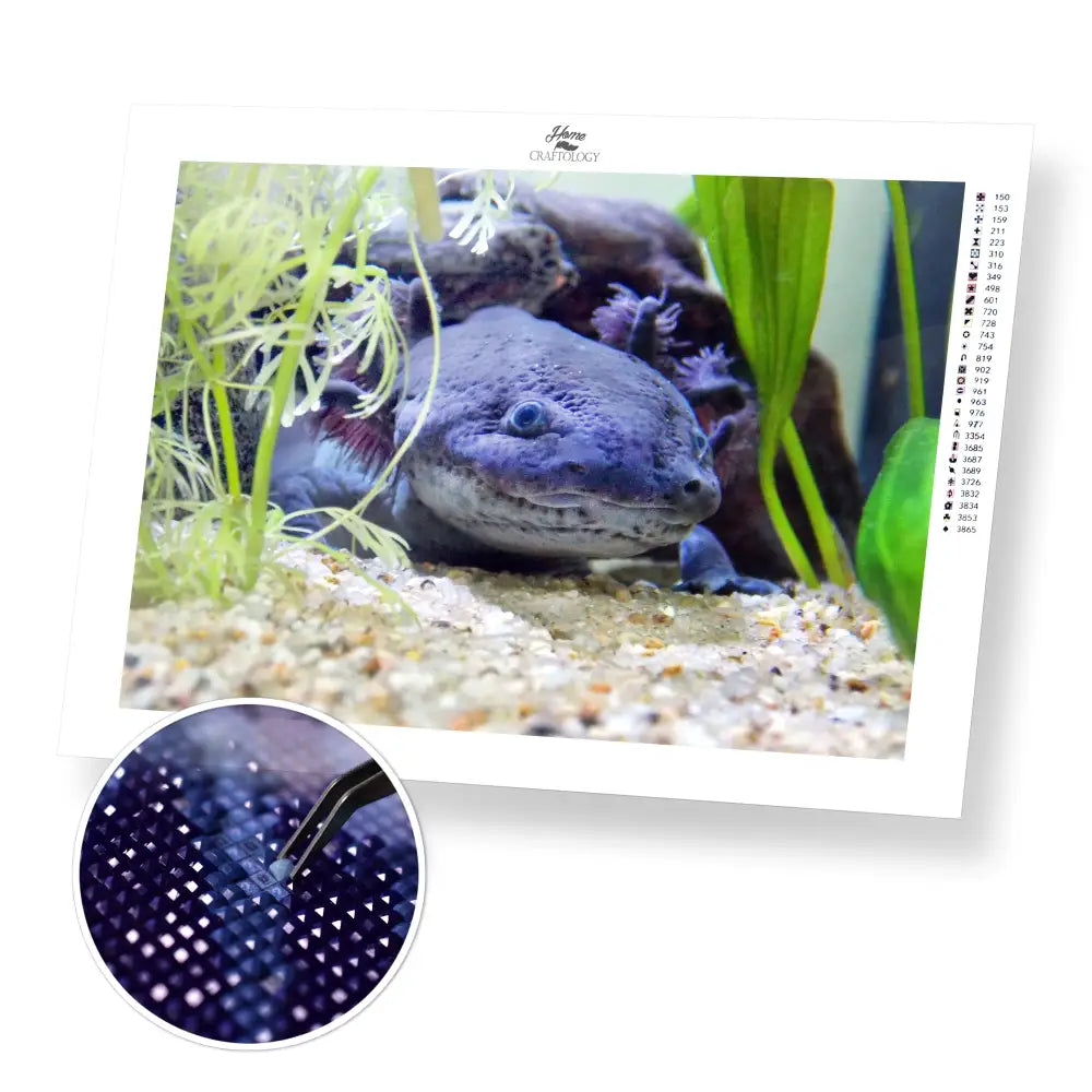 Black Axolotl - Premium Diamond Painting Kit - 40x30cm / 16x12’’ / Square (Most Popular) - Diamond Painting Kit