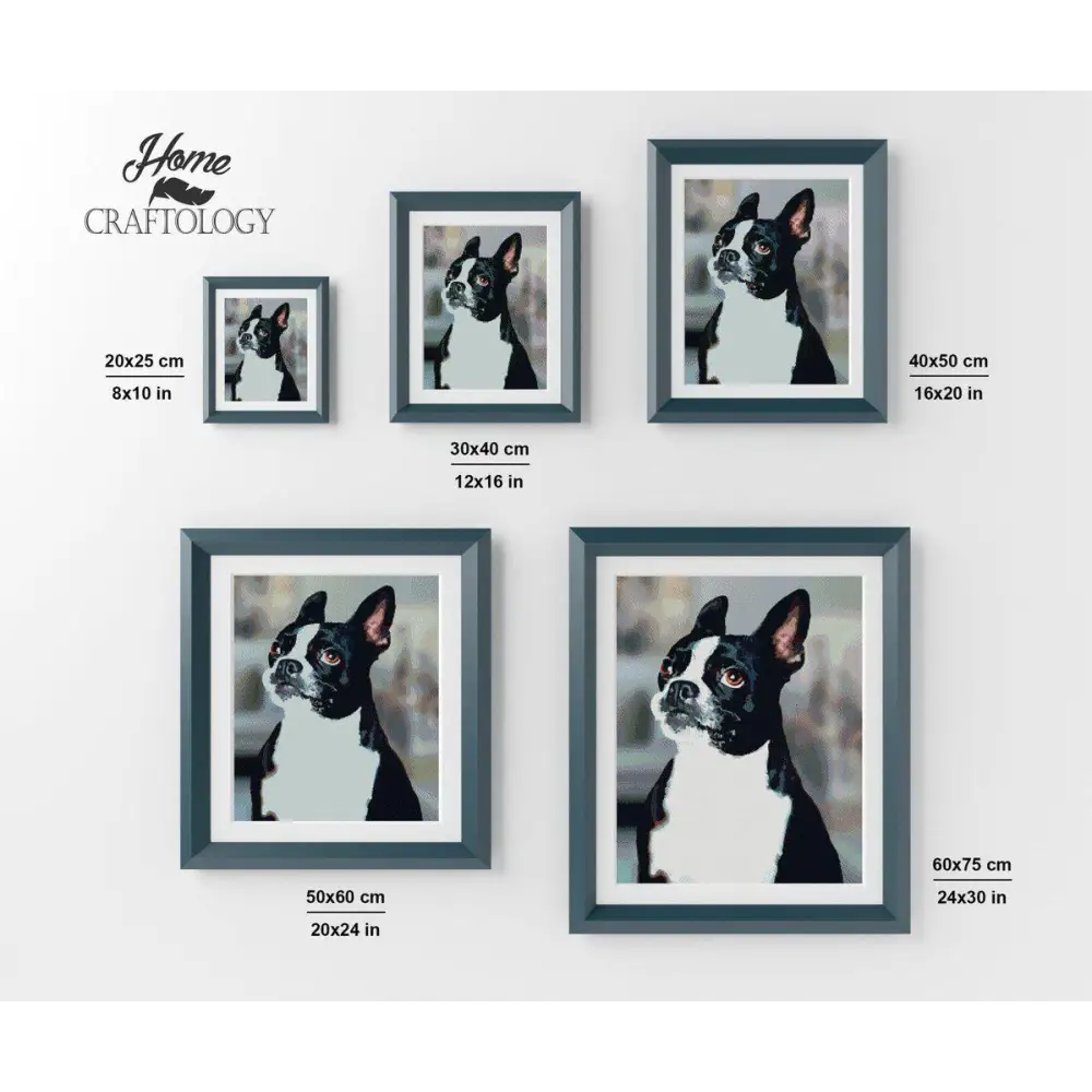 Boston Terrier - Diamond Painting Kit - Home Craftology