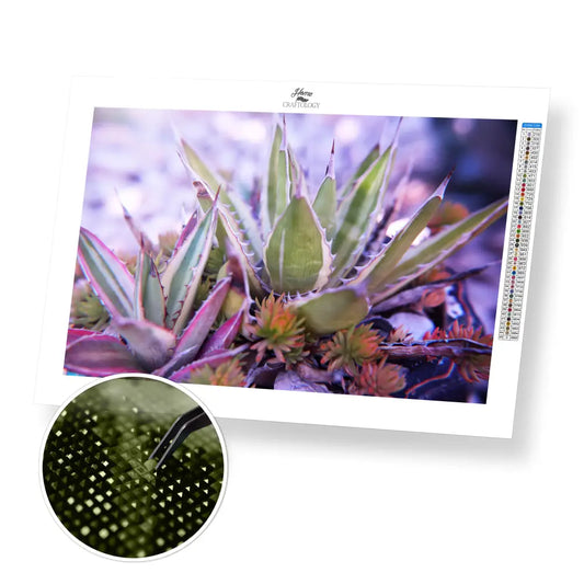 Cactus Plant - Premium Diamond Painting Kit - 45x30cm / 18x12’’ / Square (Most Popular) - Diamond Painting Kit