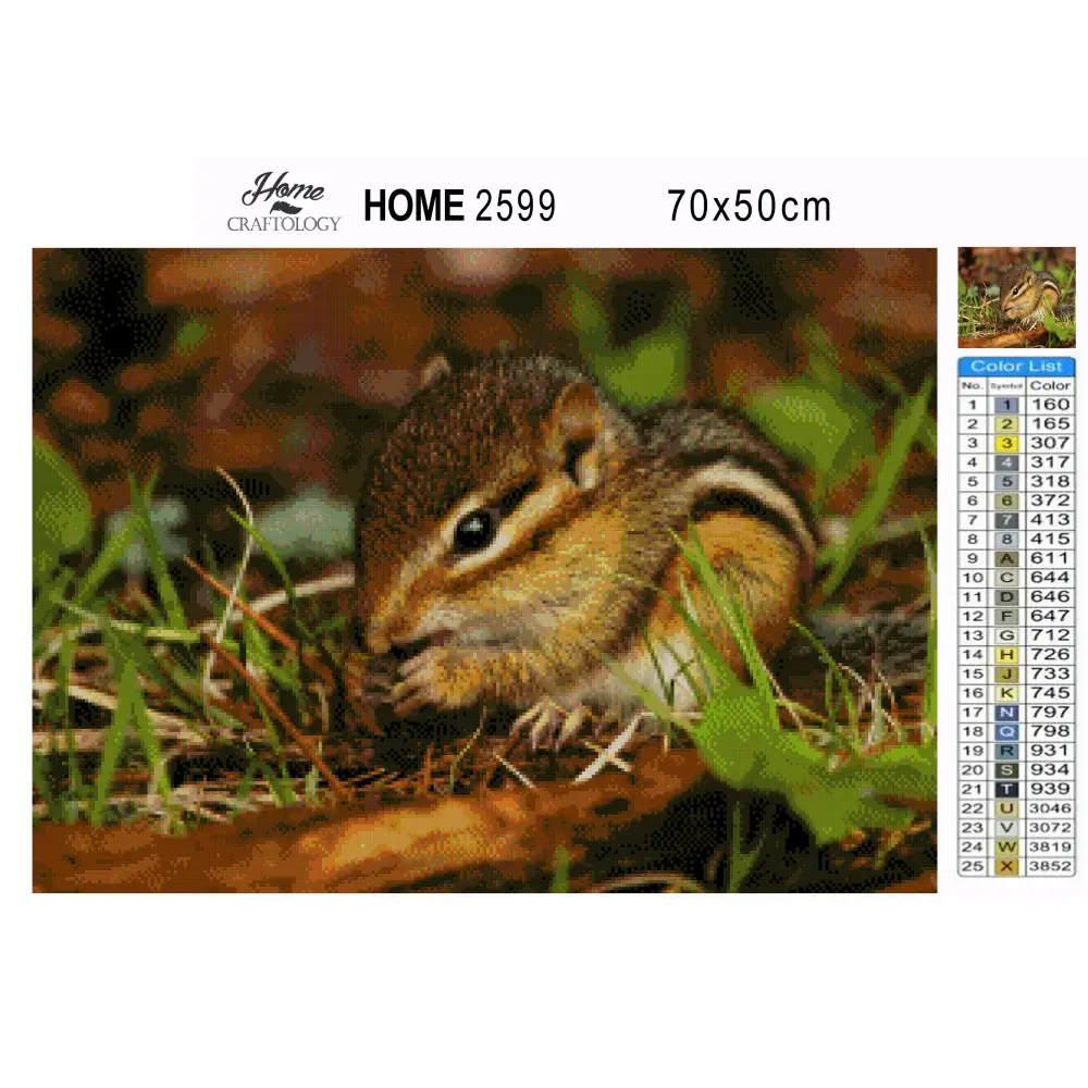 Chipmunk Close-up - Premium Diamond Painting Kit - Diamond Painting Kit