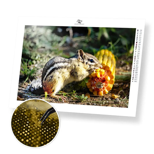 Chipmunk Eating Corn - Premium Diamond Painting Kit - 45x30cm / 18x12’’ / Square (Most Popular) - Diamond Painting Kit