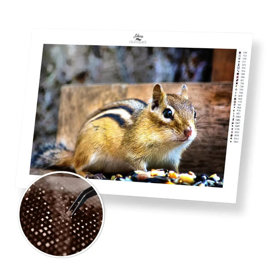 Chipmunk - Premium Diamond Painting Kit - 45x30cm / 18x12’’ / Square (Most Popular) - Diamond Painting Kit