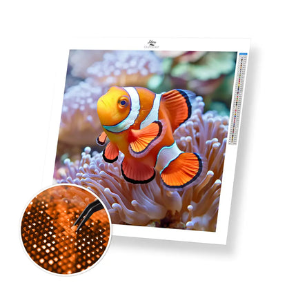 Clown Fish - Exclusive Premium Diamond Painting Kit - 20x20cm / 8x8’’ / Square (Most Popular) / No Frame - Diamond