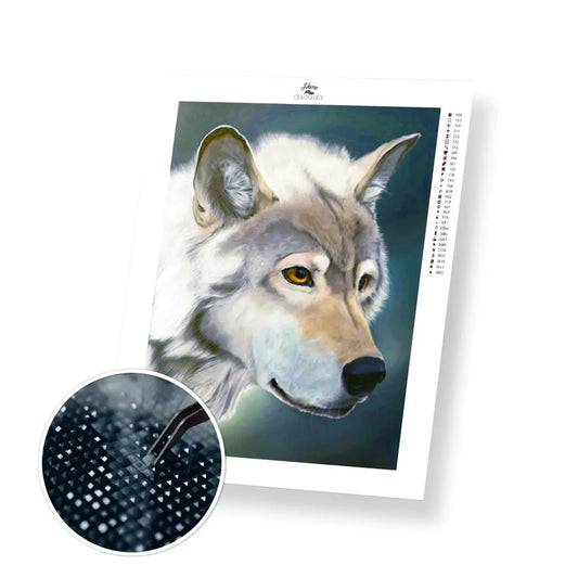 Curious Wolf - Premium Diamond Painting Kit - 30x40cm / 12x16’’ / Square (Most Popular) - Diamond Painting Kit