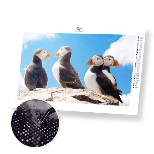 Cute Puffins - Premium Diamond Painting Kit - 50x30cm / 20x12’’ / Square (Most Popular) - Diamond Painting Kit