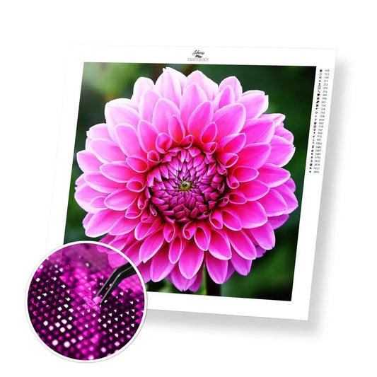 Dahlia - Premium Diamond Painting Kit - 30x30cm / 12x12’’ / Square (Most Popular) - Diamond Painting Kit