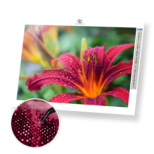 Daylily - Premium Diamond Painting Kit - 45x30cm / 18x12’’ / Square (Most Popular) - Diamond Painting Kit