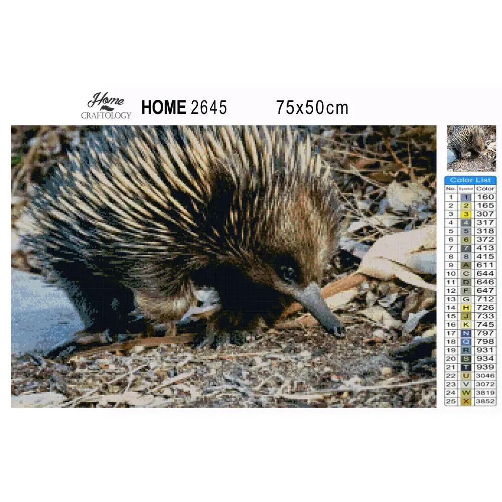 Echidna - Premium Diamond Painting Kit - Diamond Painting Kit