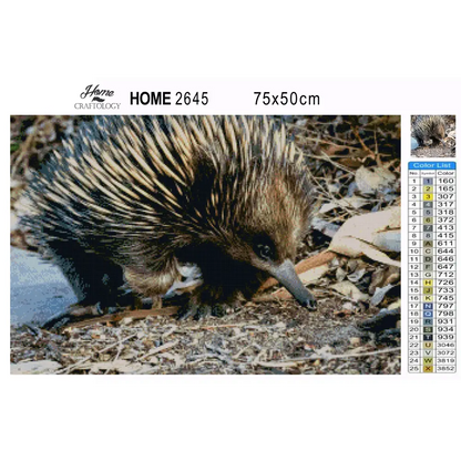 Echidna - Premium Diamond Painting Kit - Diamond Painting Kit