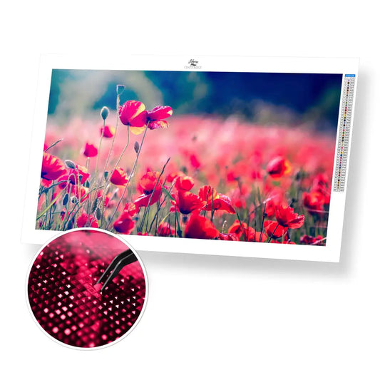 Field of Red Poppies - Premium Diamond Painting Kit - 55x30cm / 22x12’’ / Square (Most Popular) - Diamond Painting Kit
