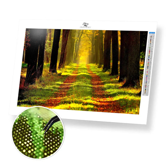 Forest Path - Premium Diamond Painting Kit - 45x30cm / 18x12’’ / Square (Most Popular) - Diamond Painting Kit