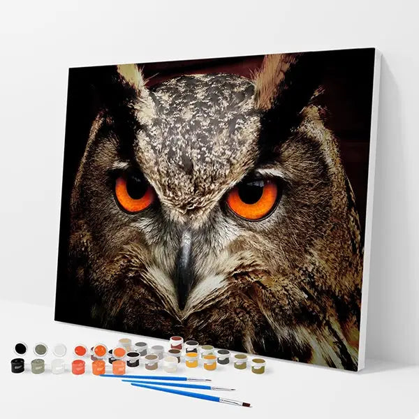 Gaze of an Owl Kit - Paint By Numbers - 30x40cm / 12x16’’ / No Frame - Paint By Numbers