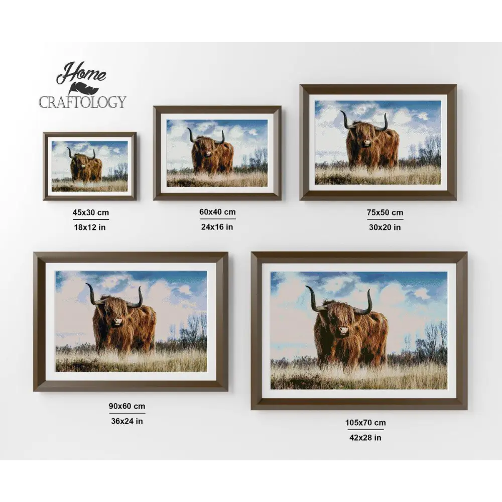 Highland Cattle - Premium Diamond Painting Kit - Diamond Painting Kit