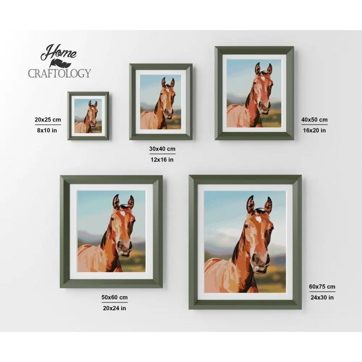 Horse - Diamond Painting Kit - Home Craftology