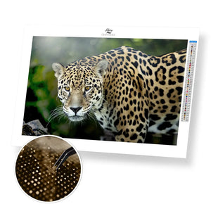 Jaguar - Premium Diamond Painting Kit - 45x30cm / 18x12’’ / Square (Most Popular) - Diamond Painting Kit