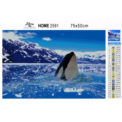 Killer Whale - Premium Diamond Painting Kit - Diamond Painting Kit