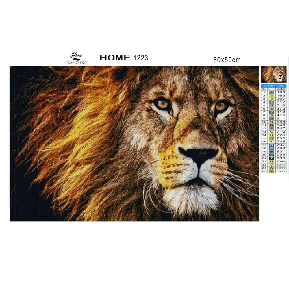 Lion Close-up - Diamond Painting Kit - Home Craftology