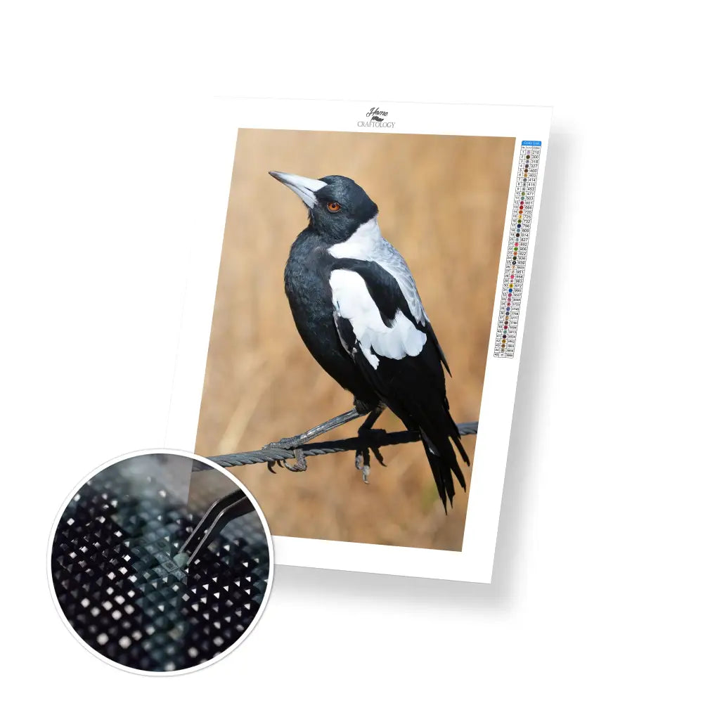 Magpie - Premium Diamond Painting Kit - 30x45cm / 12x18’’ / Square (Most Popular) - Diamond Painting Kit