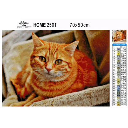 Orange Cat - Premium Diamond Painting Kit - Diamond Painting Kit