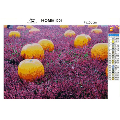 Pumpkin Patch - Diamond Painting Kit - Home Craftology